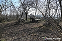 VBS_1222 - Santo Stefano Roero